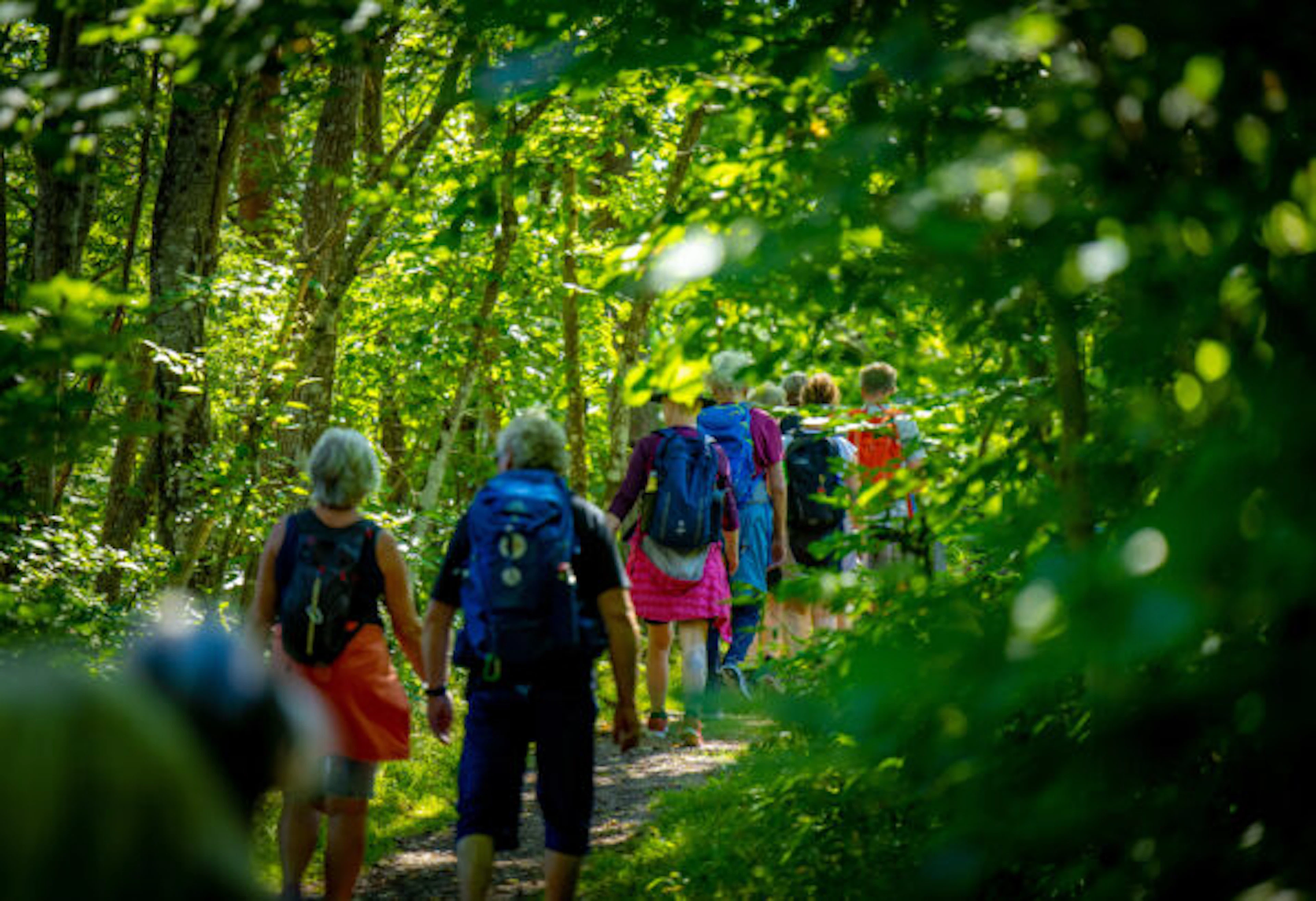 Außerhalb der Stadtmauer, wo die Stadt endet und der Wald beginnt