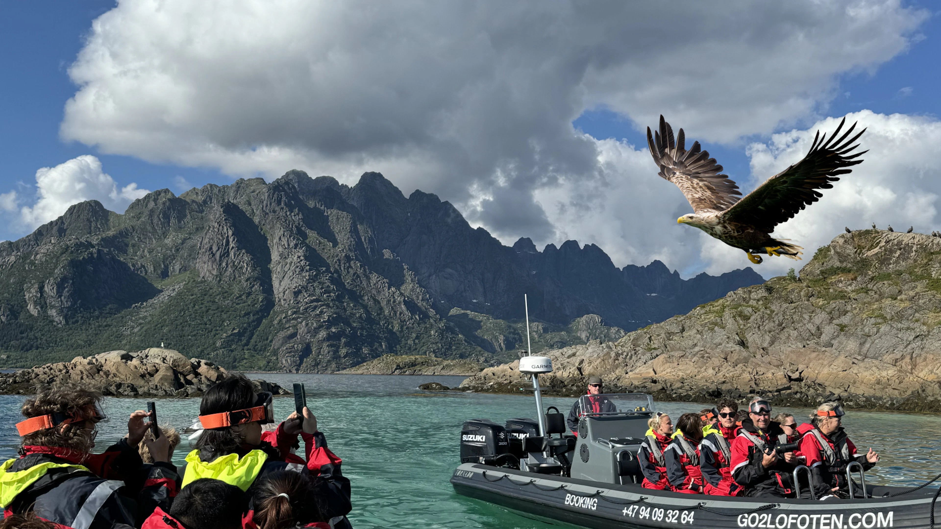 RIB Trollfjord Seeadler Safari von Svolvær