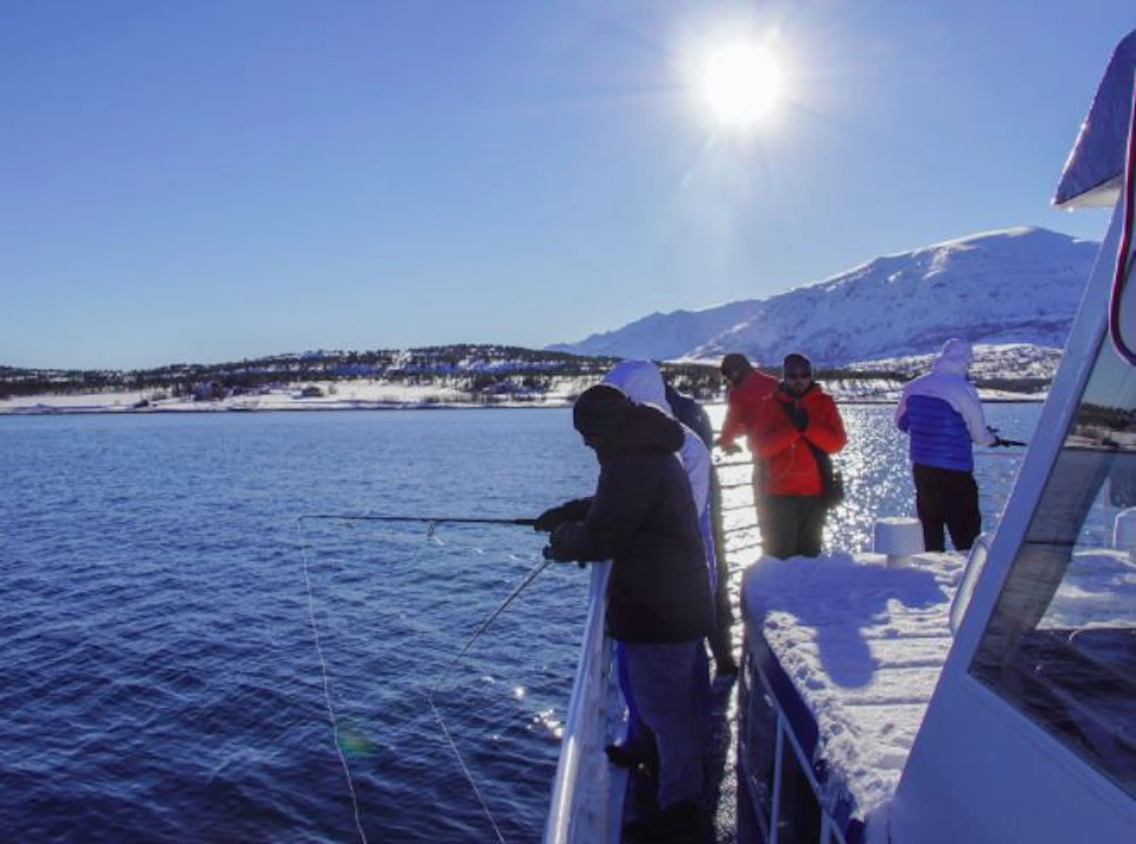 Polarfjord- und Fischereikreuzfahrt ab Tromsø mit dem Schiff