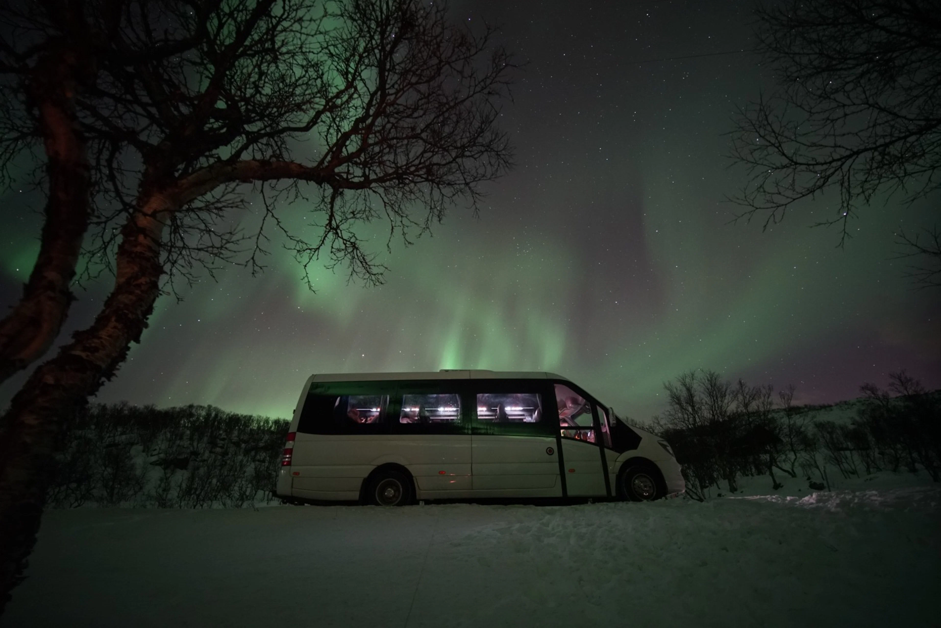 Polarlichtjagd im Kleinbus in Tromsø