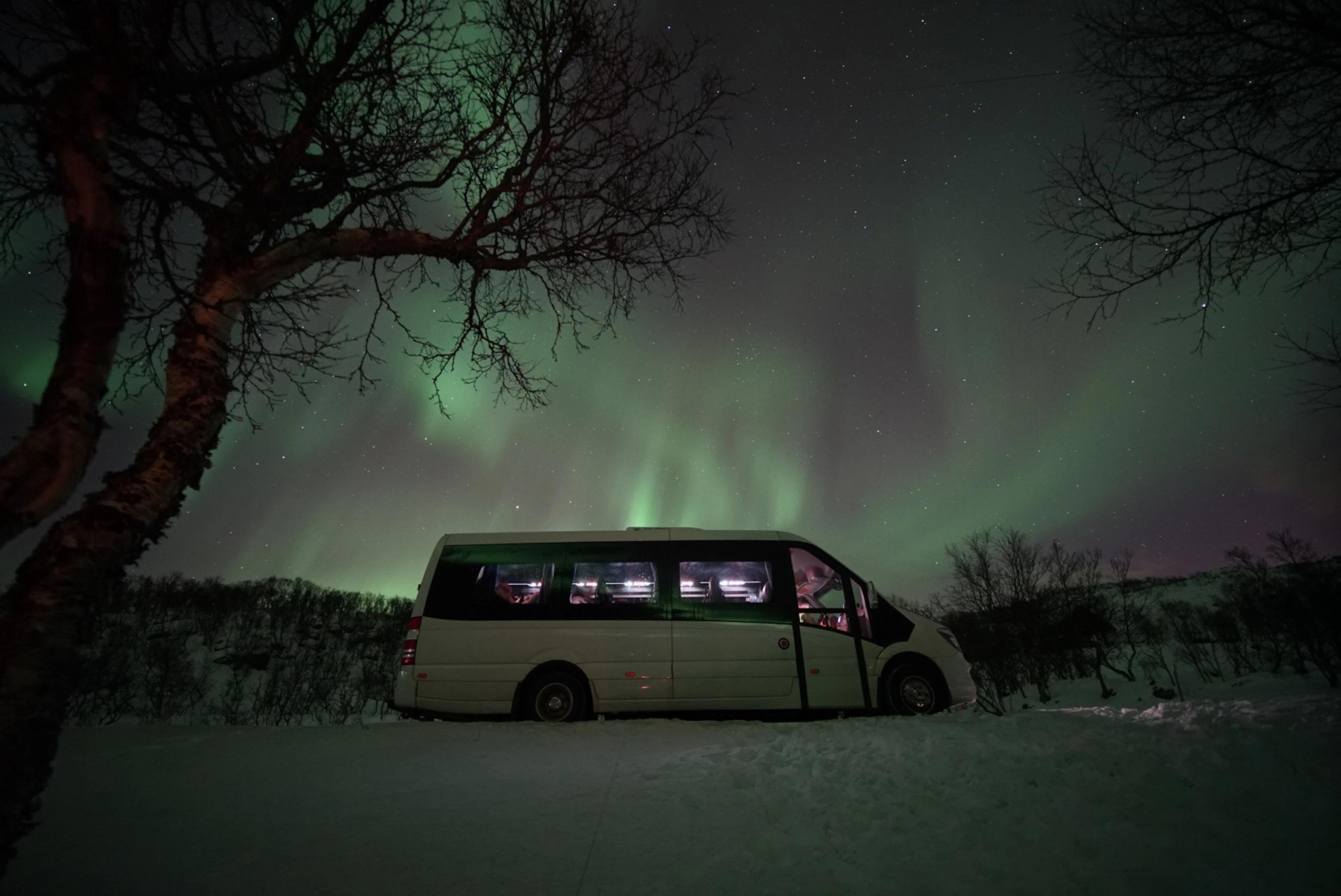 Polarlichtjagd im Kleinbus in Tromsø