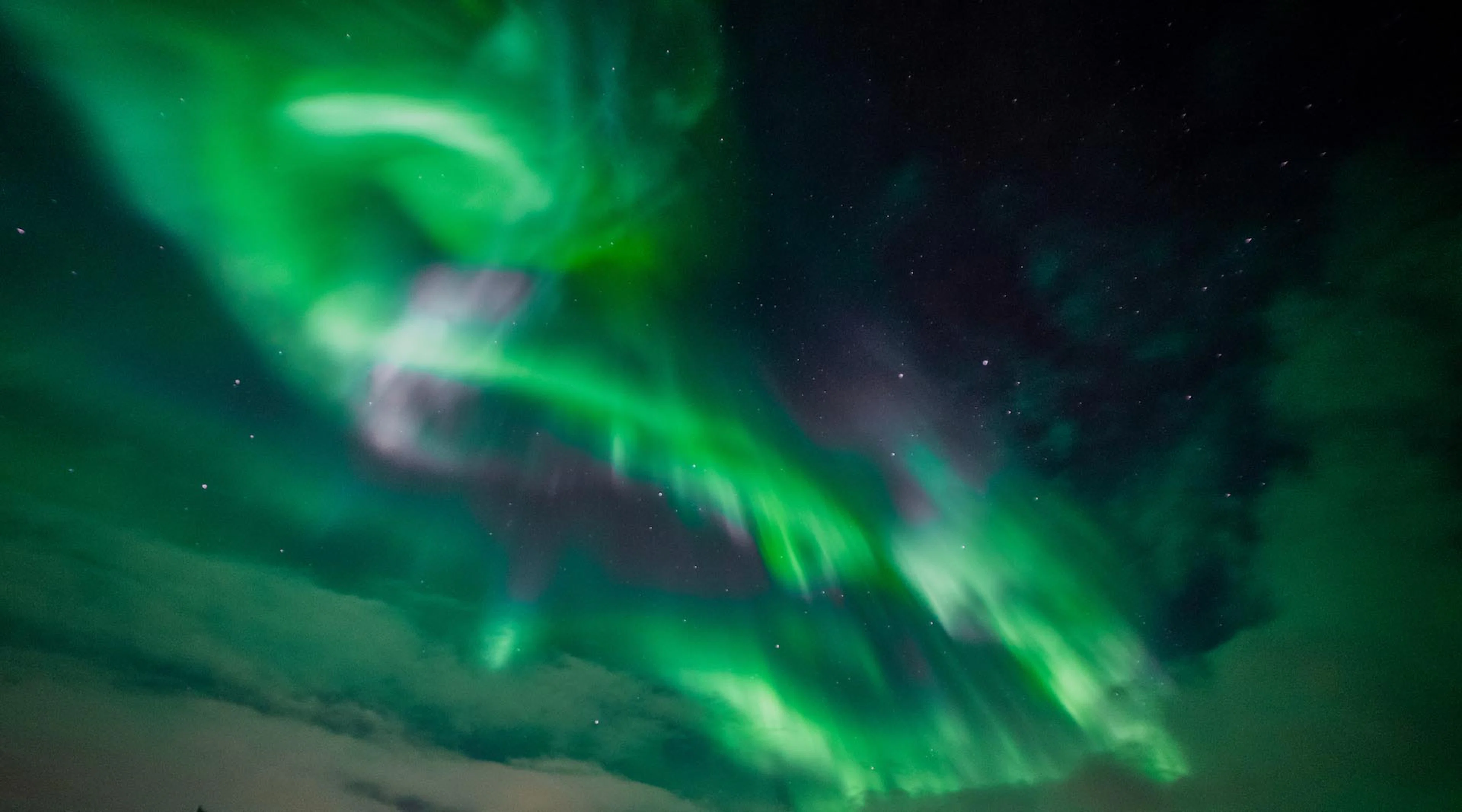 Polarlichtjagd im Kleinbus in Tromsø