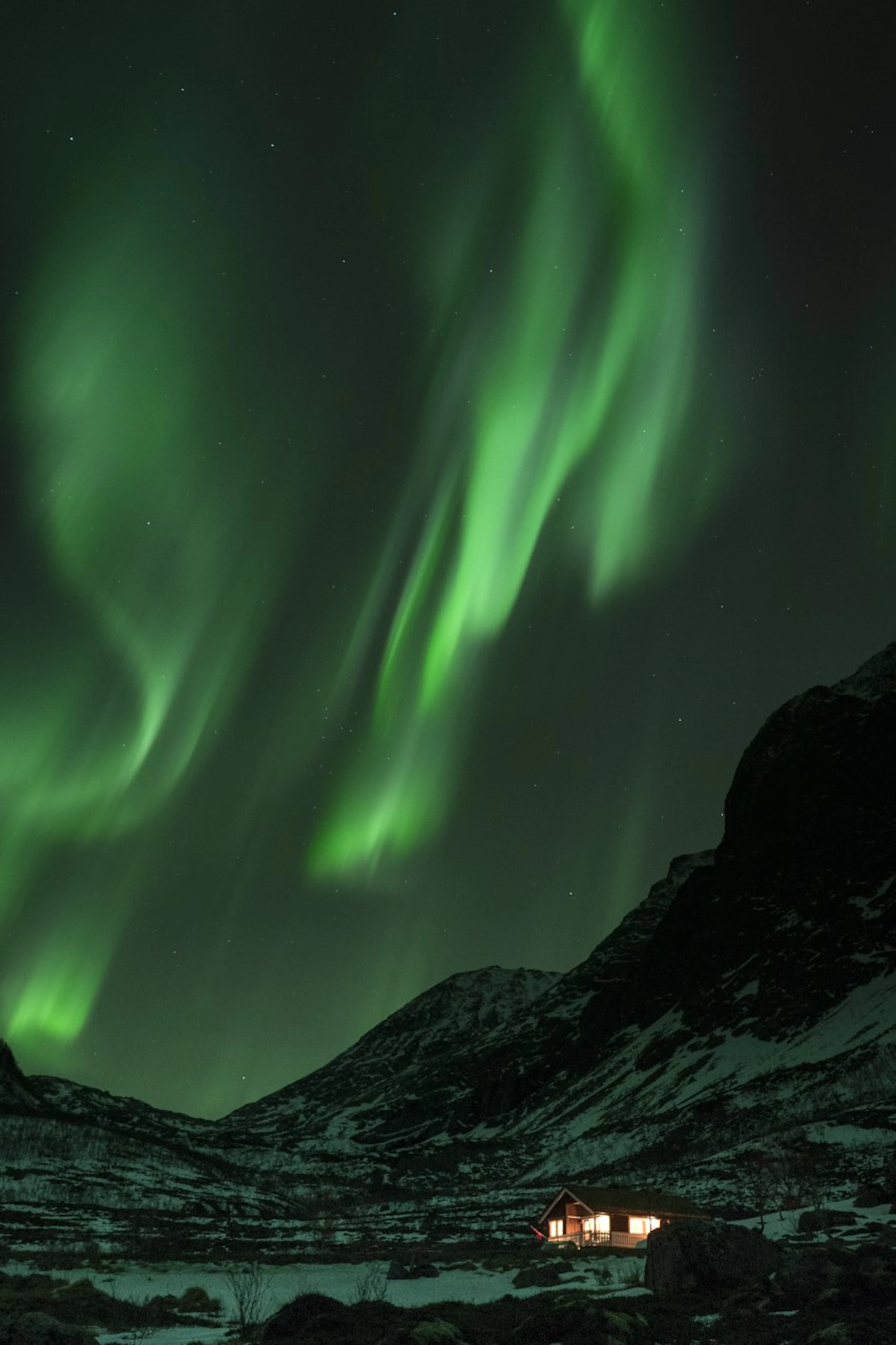 Nordlicht-Busverfolgung in Tromso