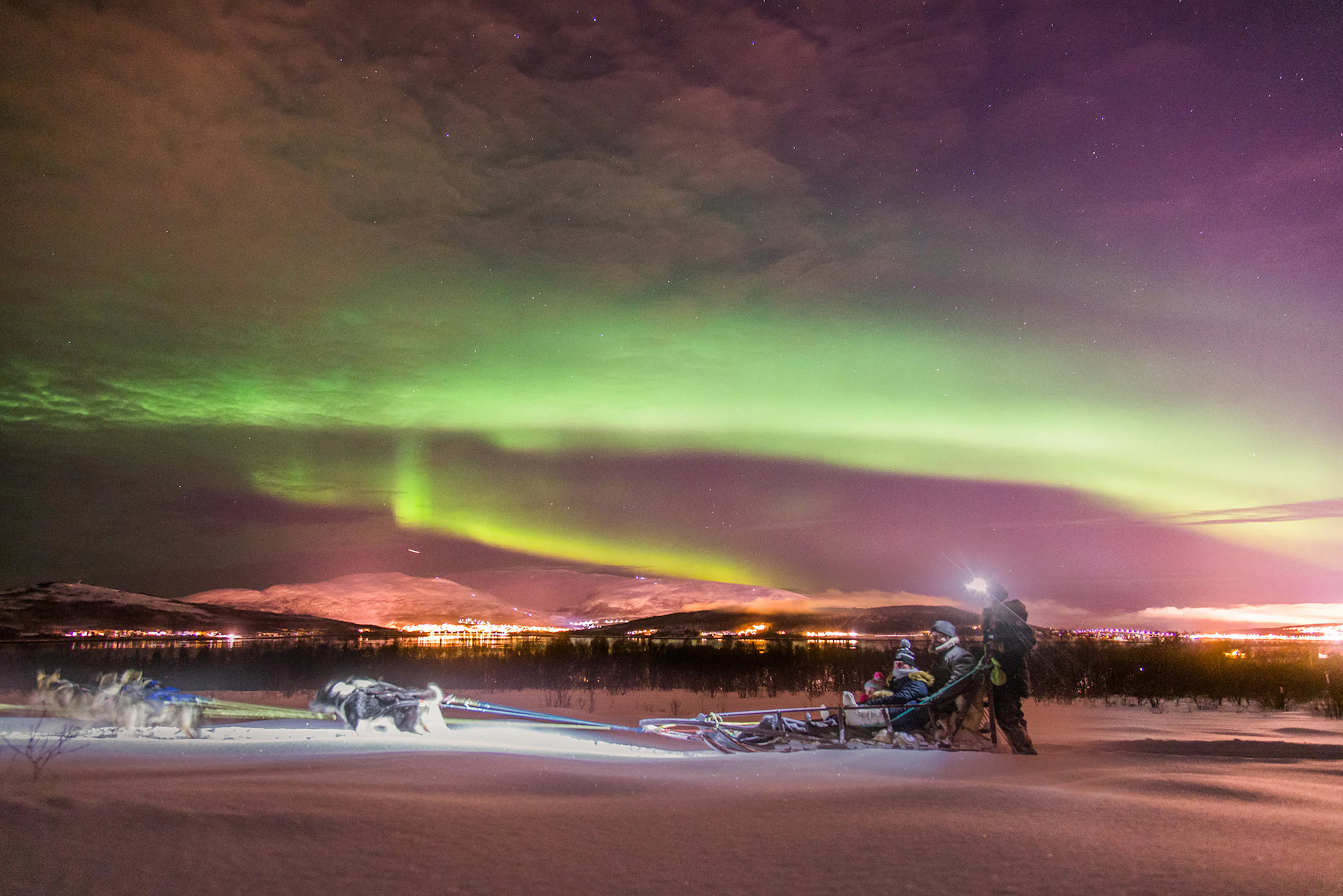 Nachmittags Husky-Schlittenfahrt mit Transport ab Tromso