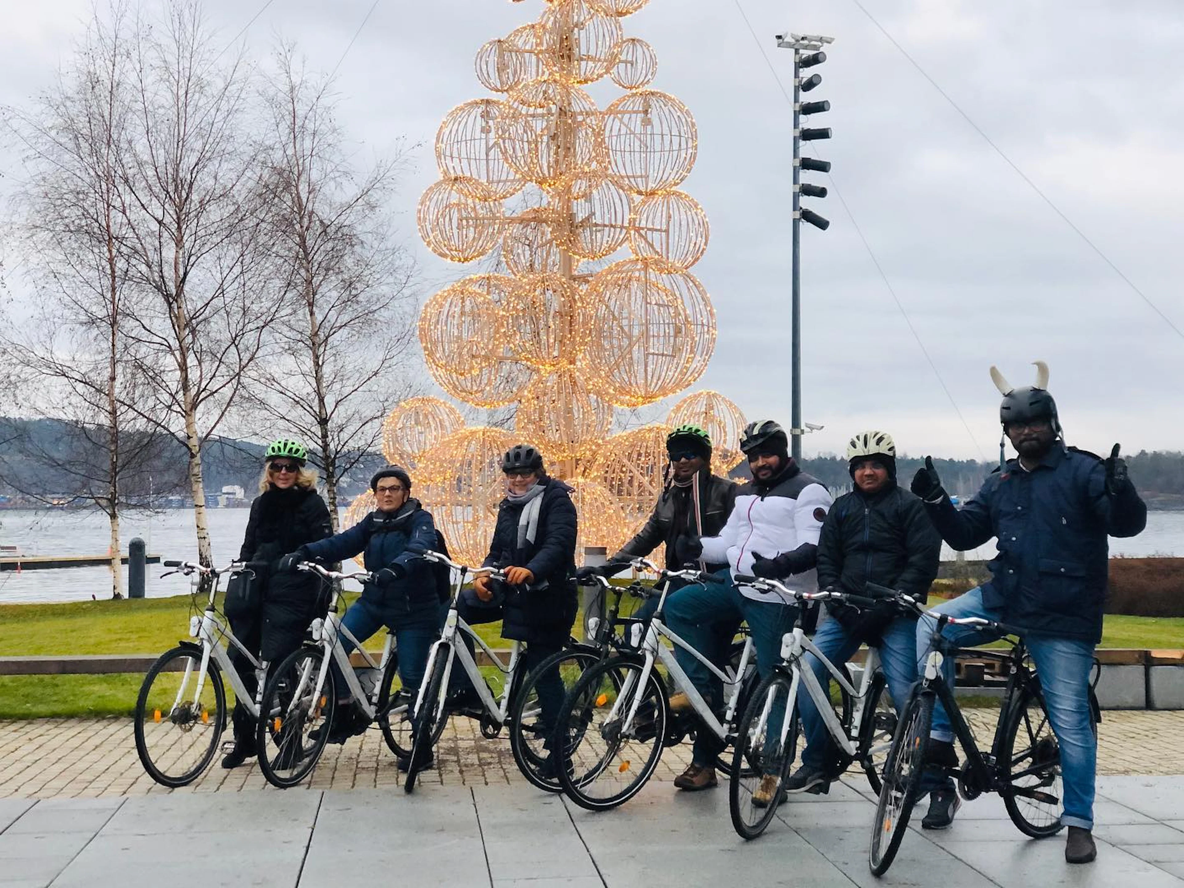 Öffentliche geführte Radtour: Oslos Winter-Highlights