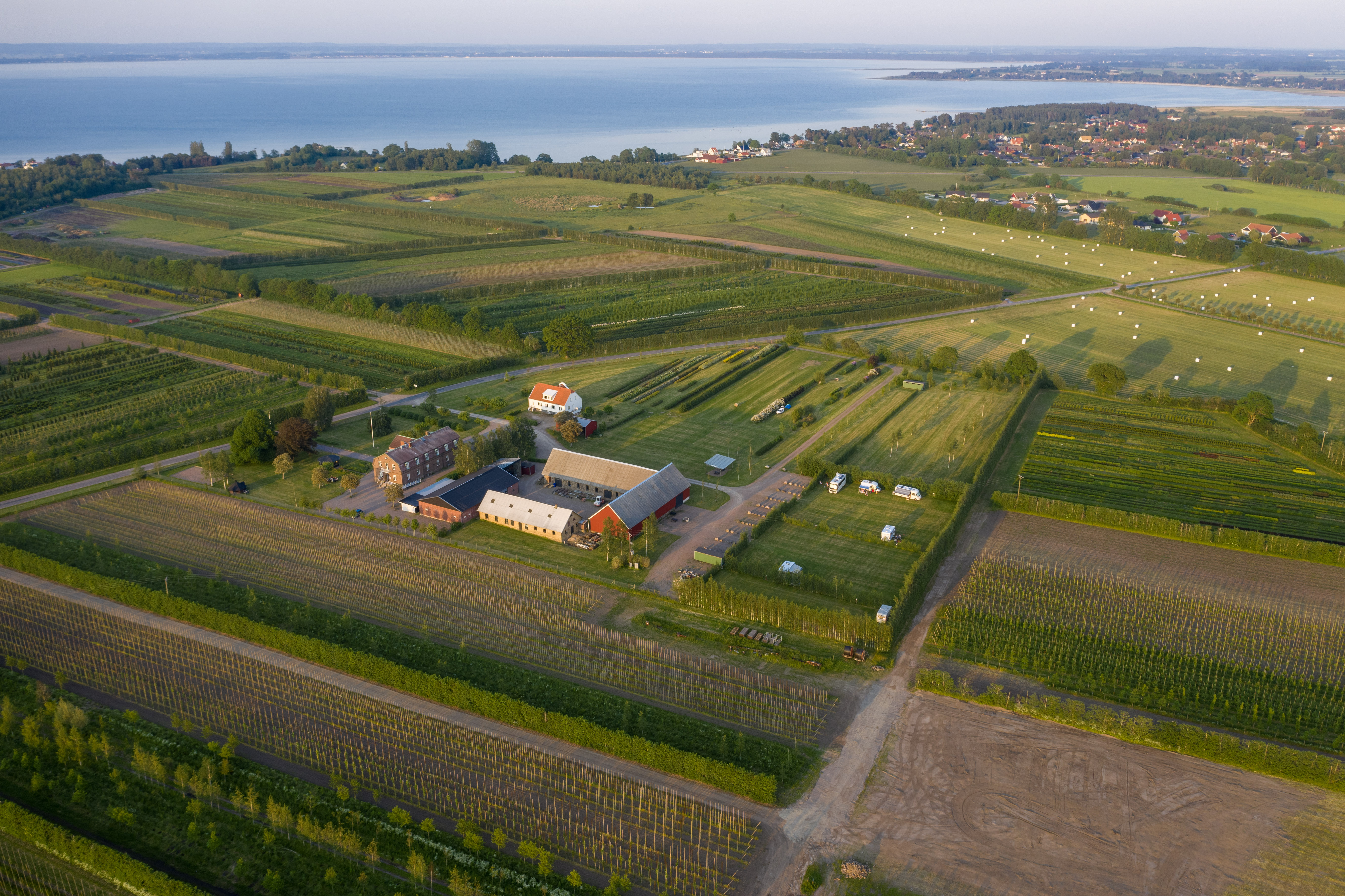 Profilo del fornitore