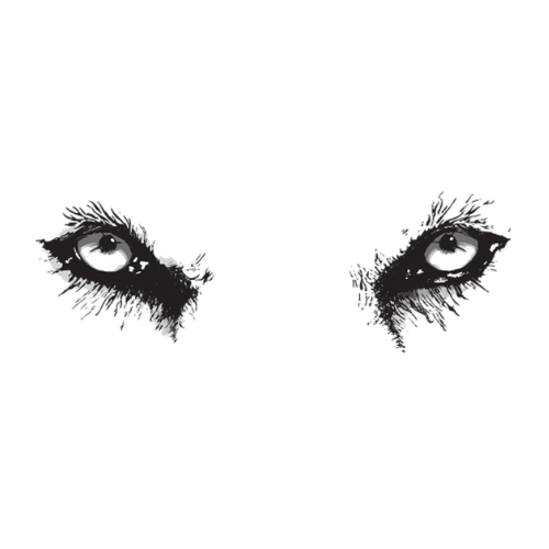 Profil des Lieferanten