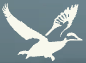 Profile of supplier