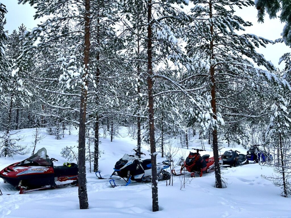 Profil för leverantören