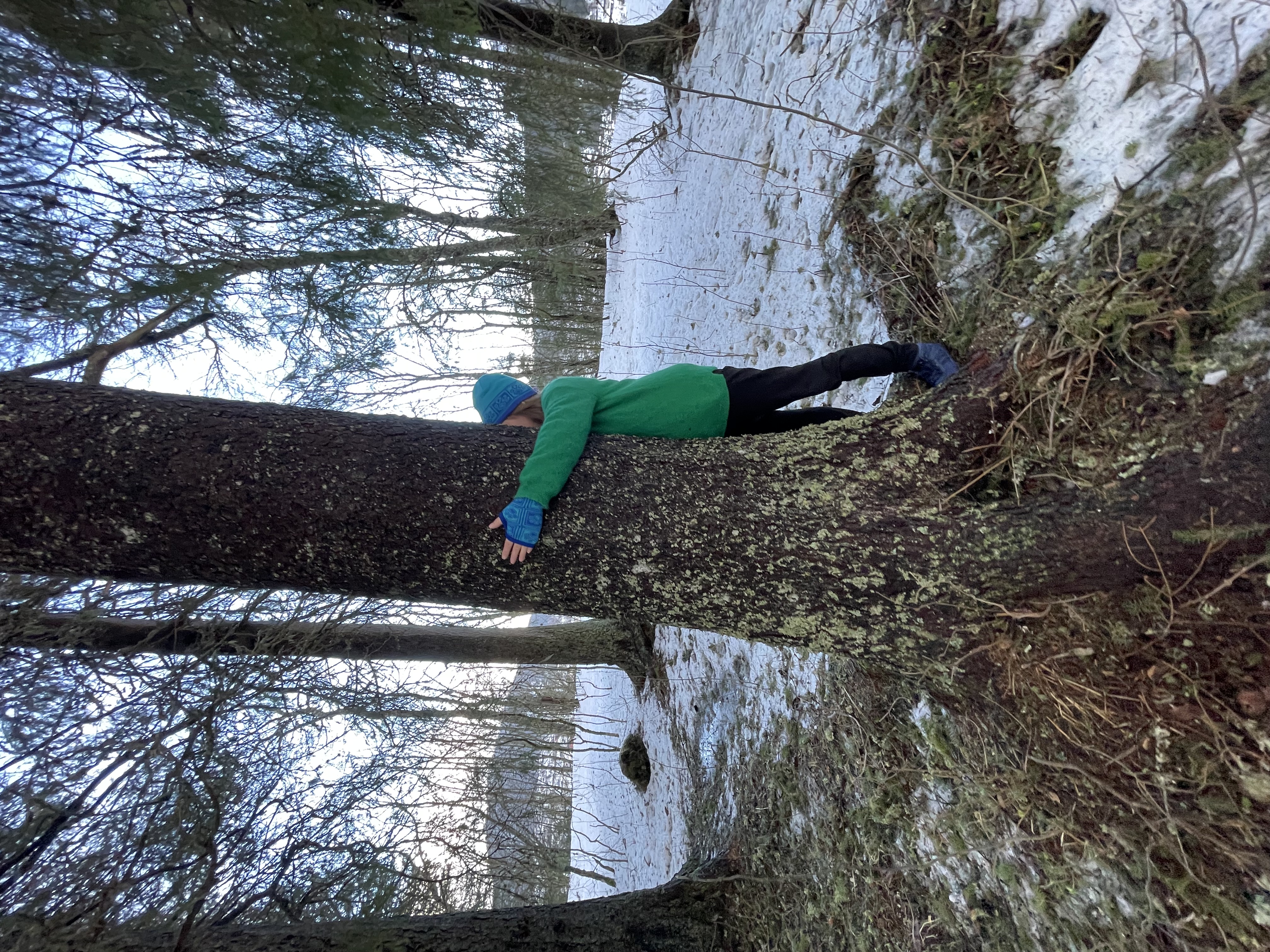 Profil för leverantören