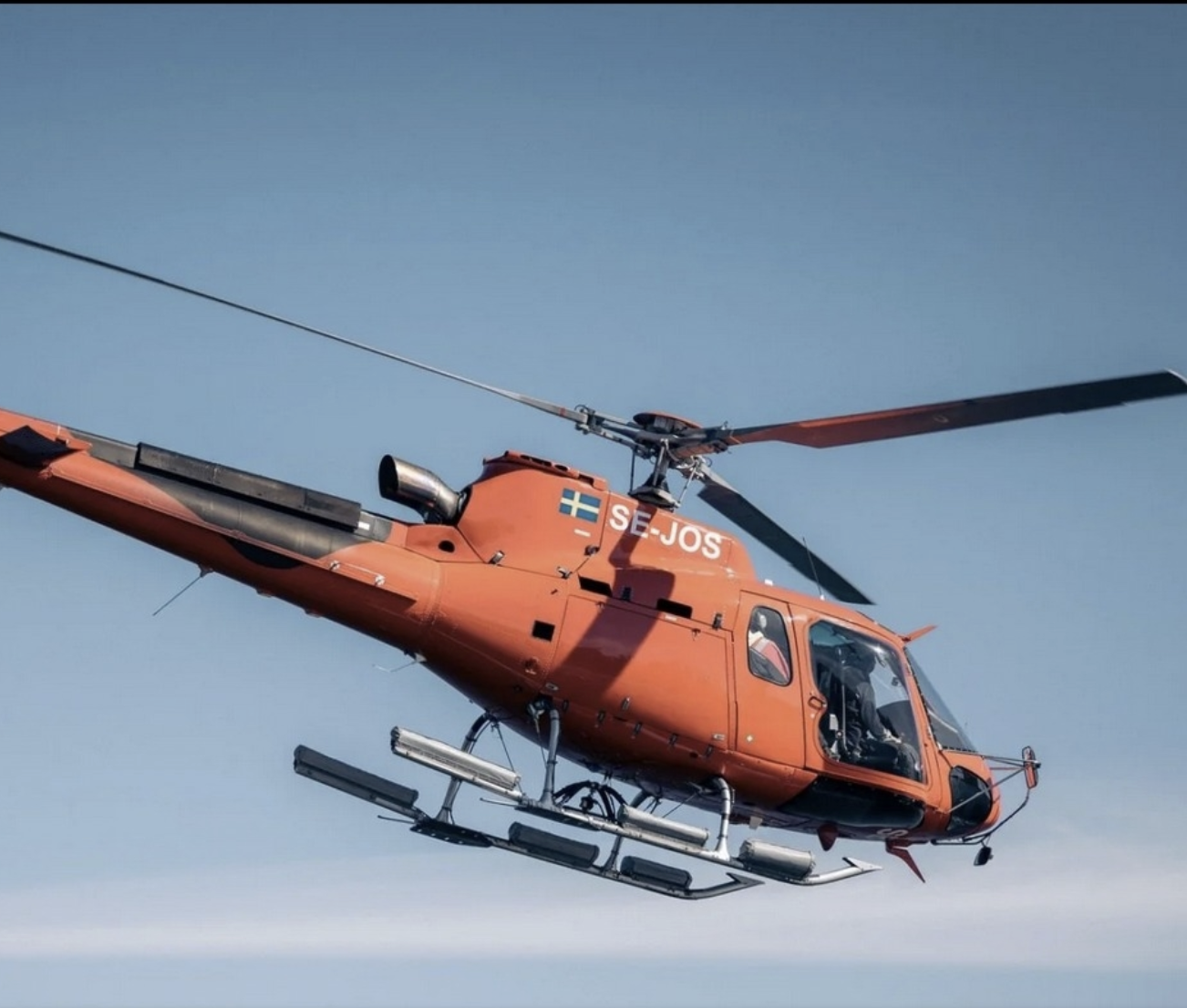 Profil des Lieferanten