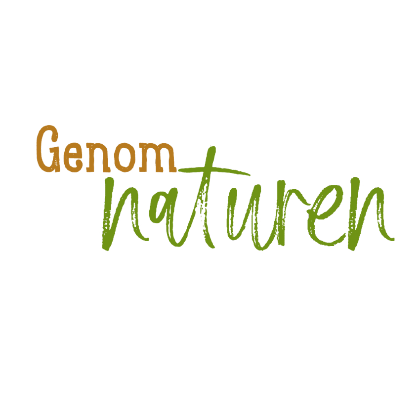 Profil af leverandør