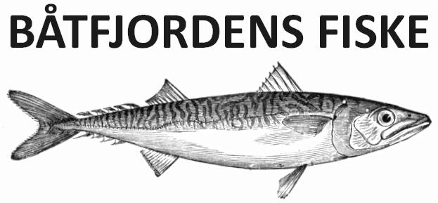 Profil des Lieferanten